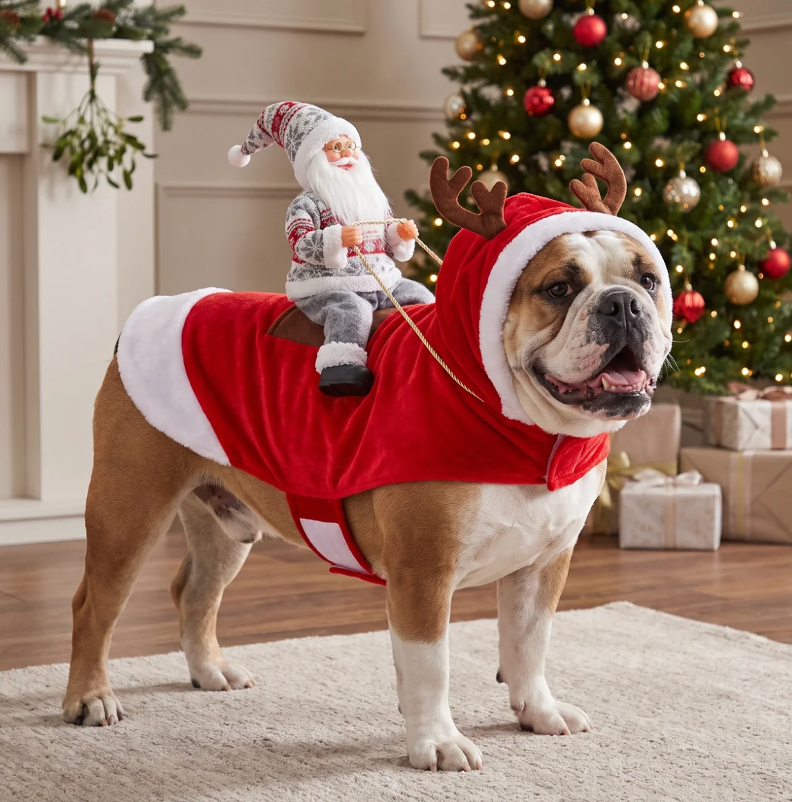 SantaPup™ Apparel