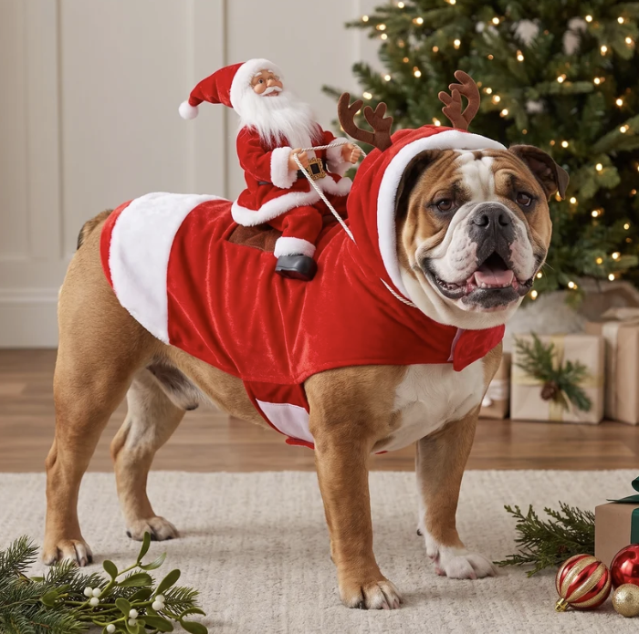 SantaPup Costume