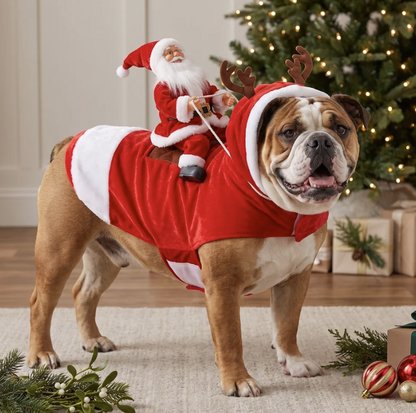 SantaPup Costume